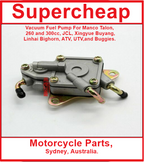 Vacuum Fuel Pump, suits Buggies, ATV's, UTV's, Go Karts and many more. image 1