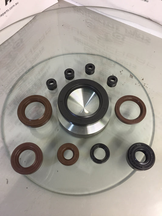 Laro and Hunter Engine Seal Kit,50  All models.. image 0