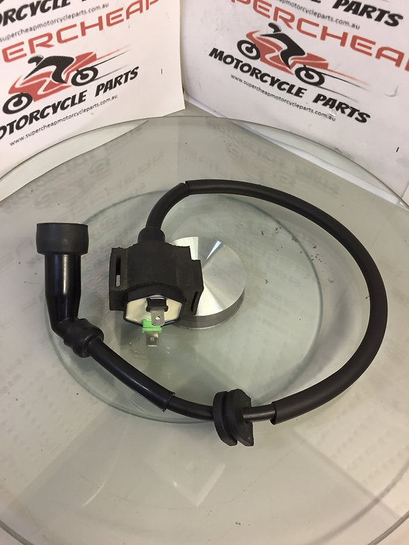 Laro Regal Raptor 250 high voltage coil.