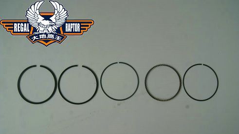 Laro Regal-Hunter Cruiser 250cc complete piston kit. image 3