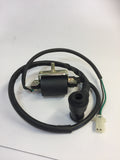 Coil, H053-013, 2 Pin, Single 6mm mount, Pit Bikes, ATVs, Scooters, Buggies. image 0