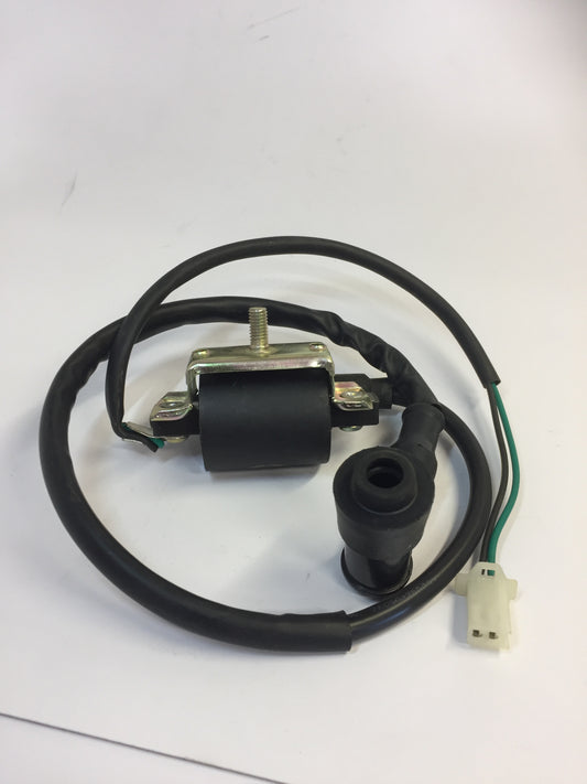 Coil, H053-013, 2 Pin, Single 6mm mount, Pit Bikes, ATVs, Scooters, Buggies. image 0